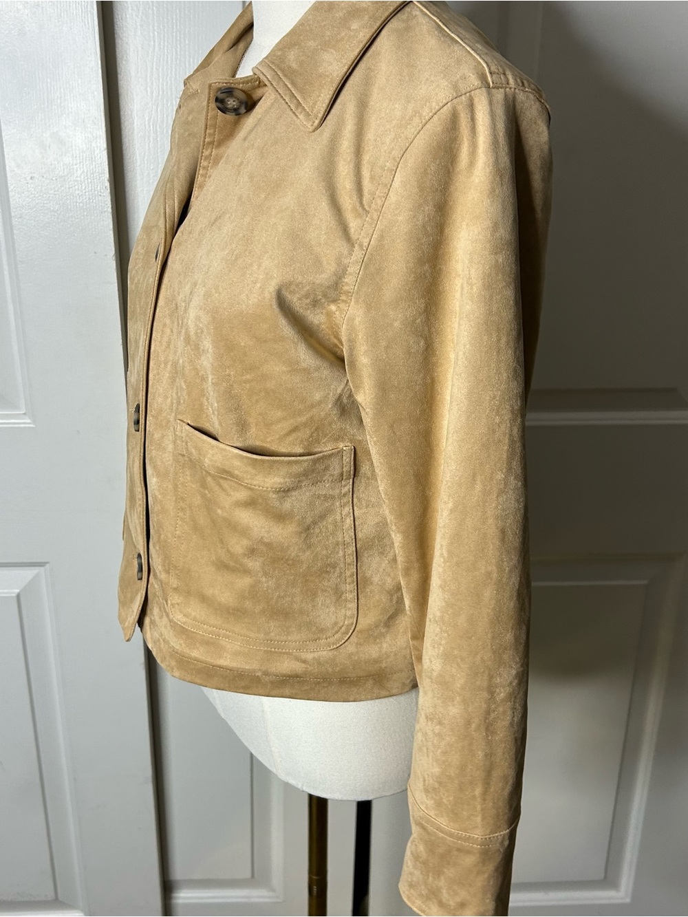 NWT (Size M) BAGATELLE
Suede Collared Jacket - Picture 5 of 9